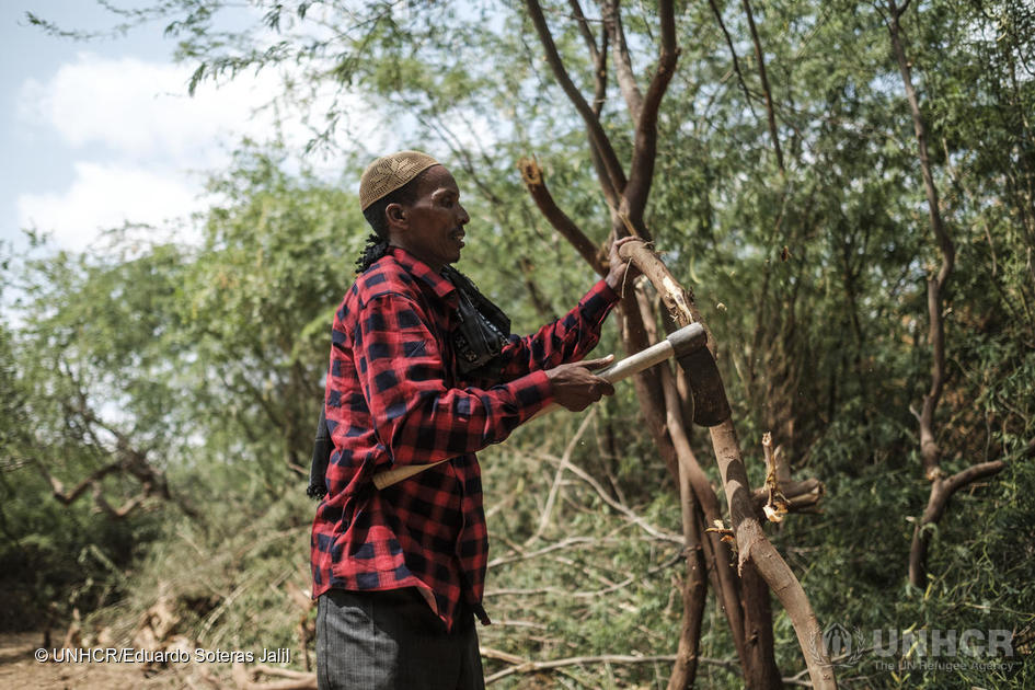 Un membre éthiopien de la coopérative de Dollo Ado abat des prosopis près de la frontière avec la Somalie. Ils les vendent à la coopérative de Bur Amino, qui les transforme en briquettes de charbon de bois et en bois de chauffage.  © HCR/Eduardo Soteras Jalil