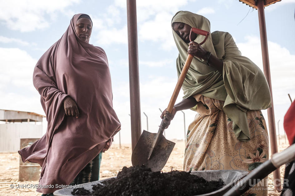 Somalische vluchteling Saredo Abdi (rechts), bewerkt bijproducten van Prosopis Juliflora met een schop in het Prosopis Processing Centre in Bur Amino, Ethiopië.