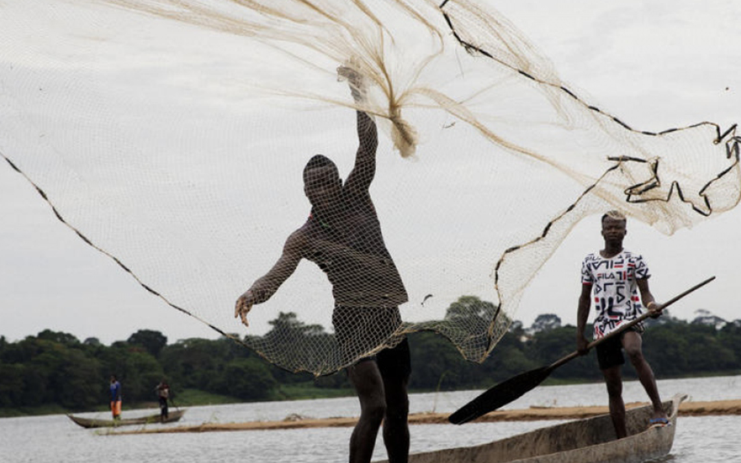 Separated by conflict, Central African cousins long to learn together again