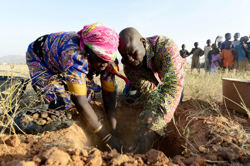 People plant trees to fight climate change