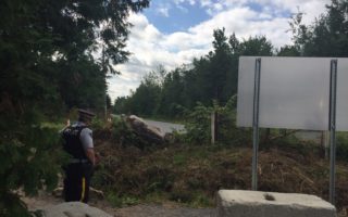 an police officer standing in a woodlike setting beside some concrete blocks and highway sign