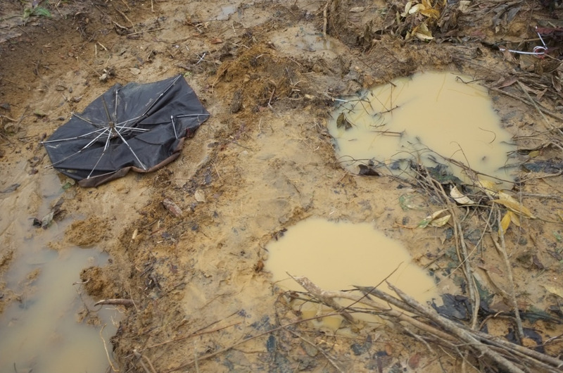 L’attaque d’un éléphant illustre les dangers pour les réfugiés