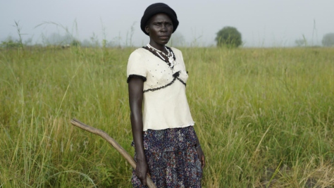 Uganda. South Sudanese refugees regenerate rice-growing economy