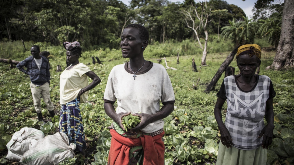 Neema (centre) harvests okra on the patch of land she works with other members of a farming cooperative made up of host and refugee farmers.
