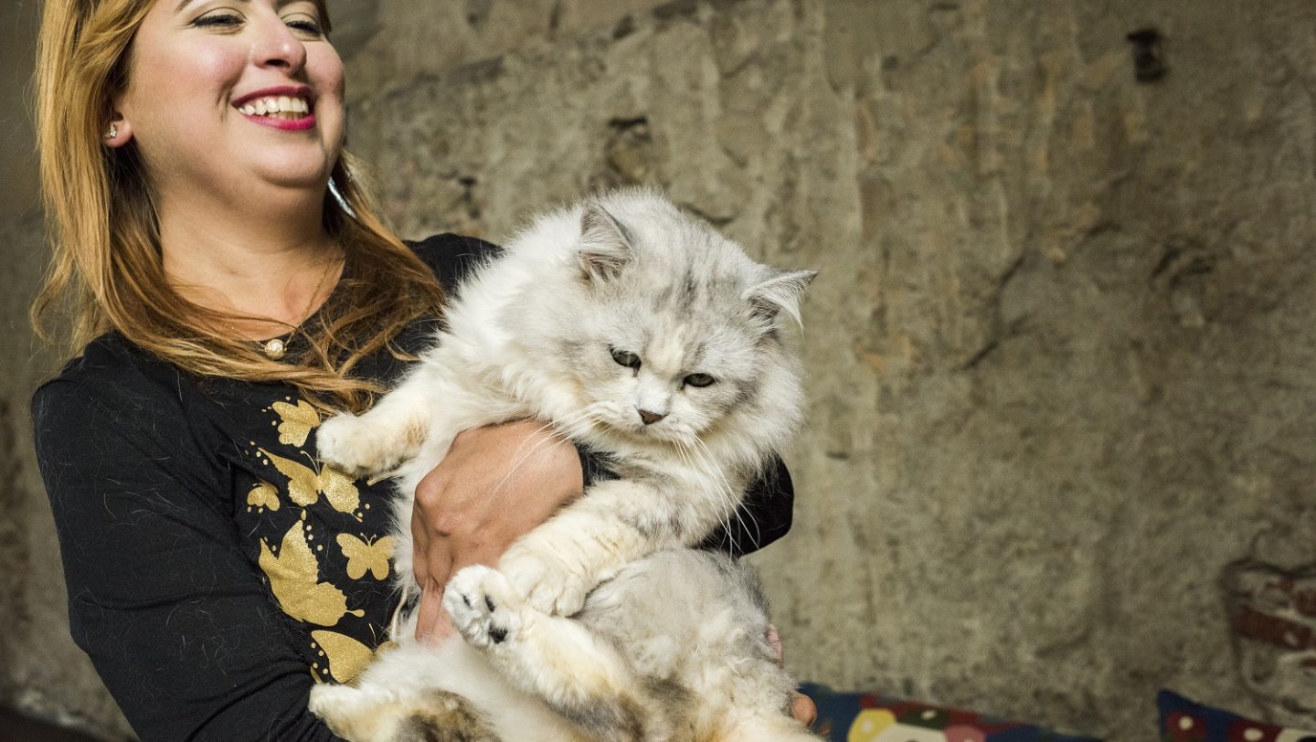 Switzerland. Pet cat brings companionship on long journey to safety