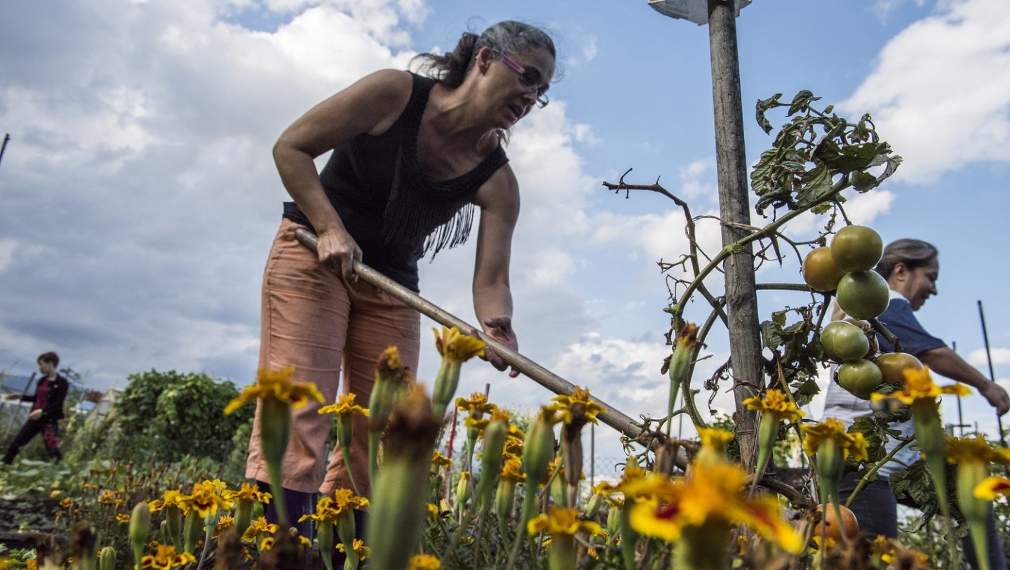 Switzerland. Integration of refugees through a gardening project