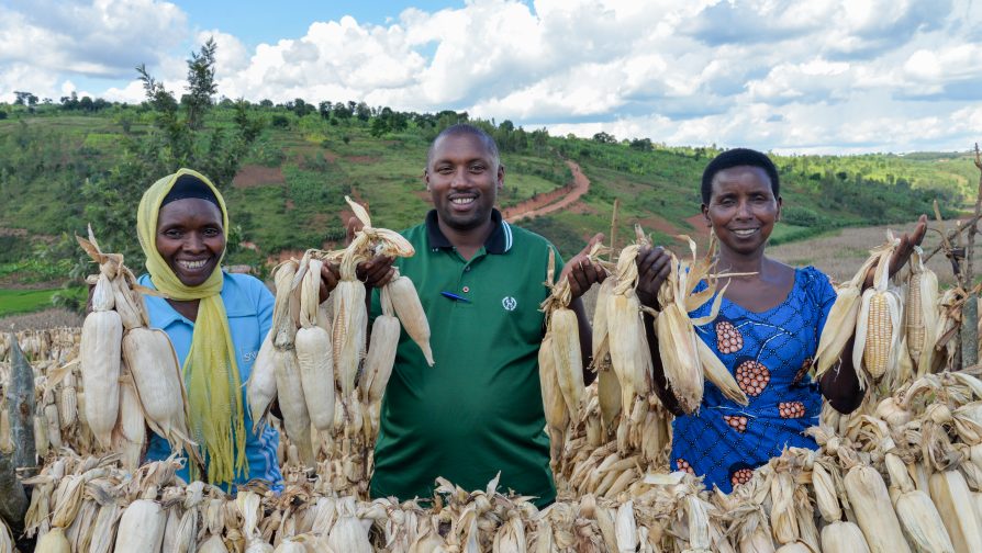 Rwanda: Refugees and Host Communities join forces in the Misizi Marshland to improve their livelihoods