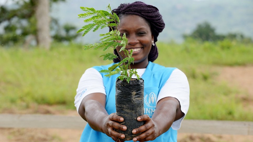 A UNHCR intern holds up a sapling, grown in a nursery at Minawao refugee camp, Cameroon, as part of the reforestation project Make Minawao Green Again.
