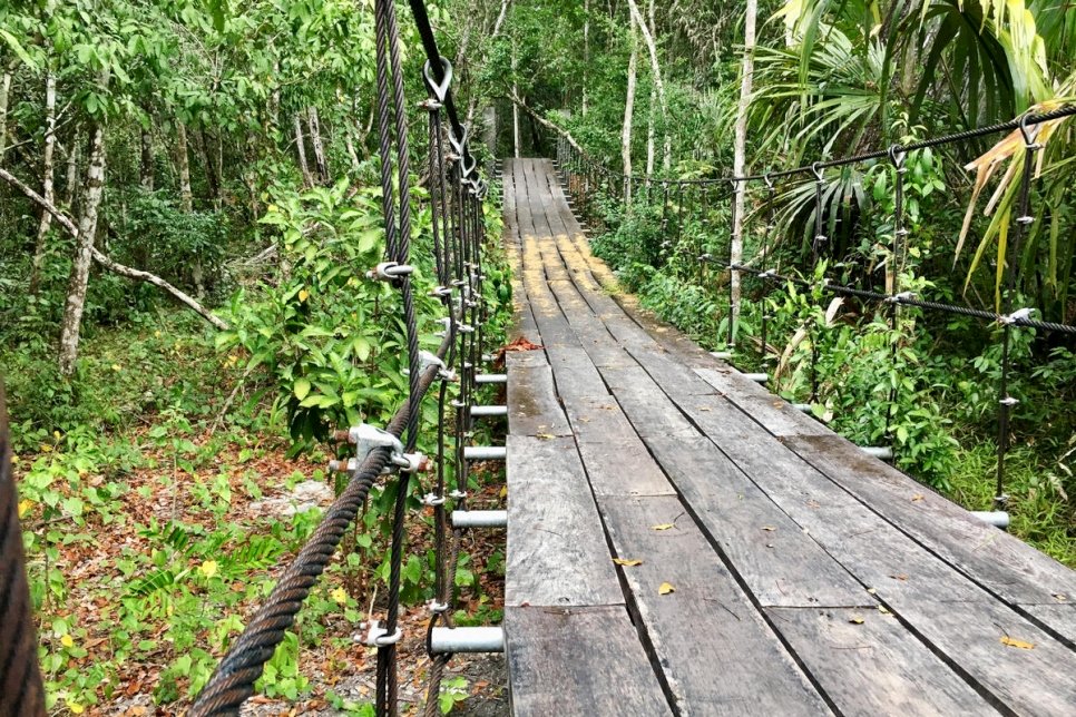 Un pont suspendu enjambe un ravin, dans le parc national El Mirador au Guatemala, où des demandeurs d'asile travaillent en tant que gardes forestiers. 