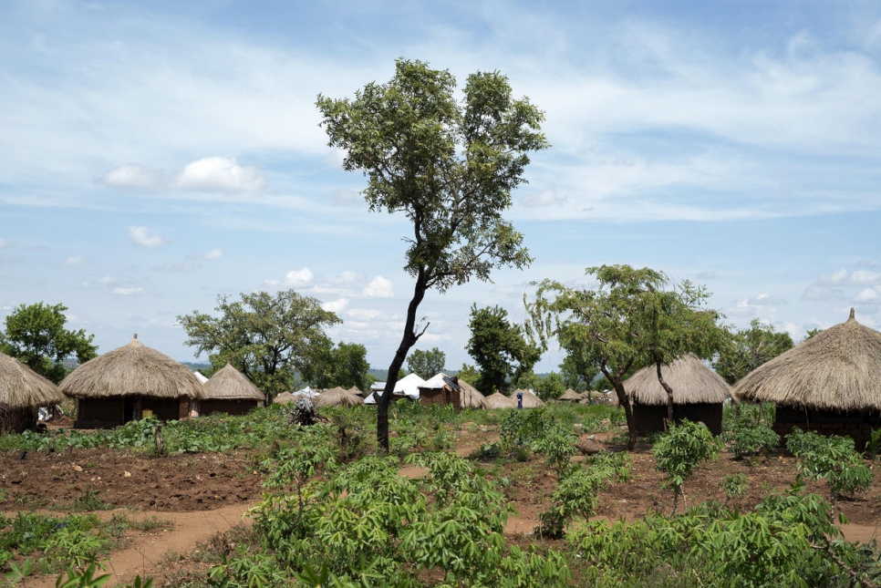 Una vista de la aldea de Omugo, donde comenzó un proyecto de plantación de árboles, apoyado por ACNUR. 