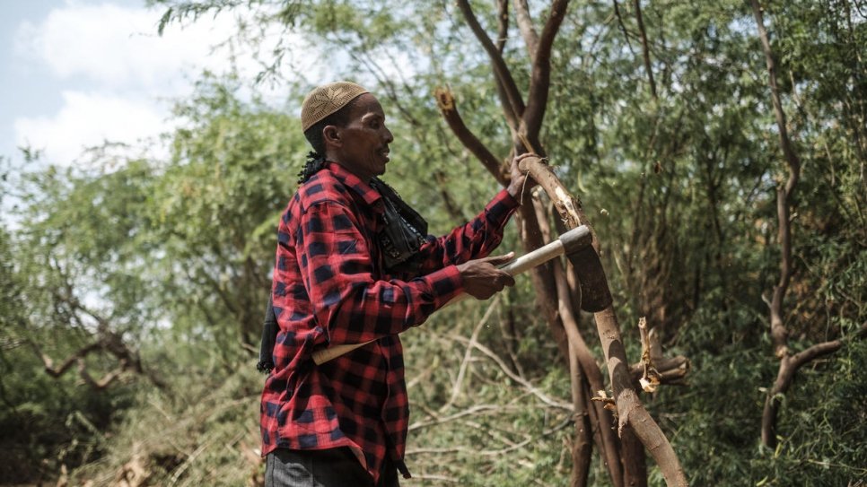 Un membre éthiopien de la coopérative de Dollo Ado abat des prosopis près de la frontière avec la Somalie. Ils les vendent à la coopérative de Bur Amino, qui les transforme en briquettes de charbon de bois et en bois de chauffage. 