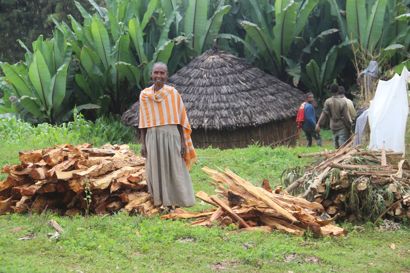 Hope and New Beginnings: Stories of Return for Displaced Families in Ethiopia