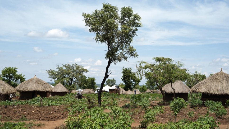 Une vue du village d'Omugo, dans lequel un projet de plantation d'arbres financé par le HCR vient de démarrer. 