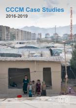 CCCM_Case Studies 2016 - 2019 online publication chapter 2 - six children stand outside their home in Kabul smiling and playing with sticks, in the background is the horizon line of the city then the mountains