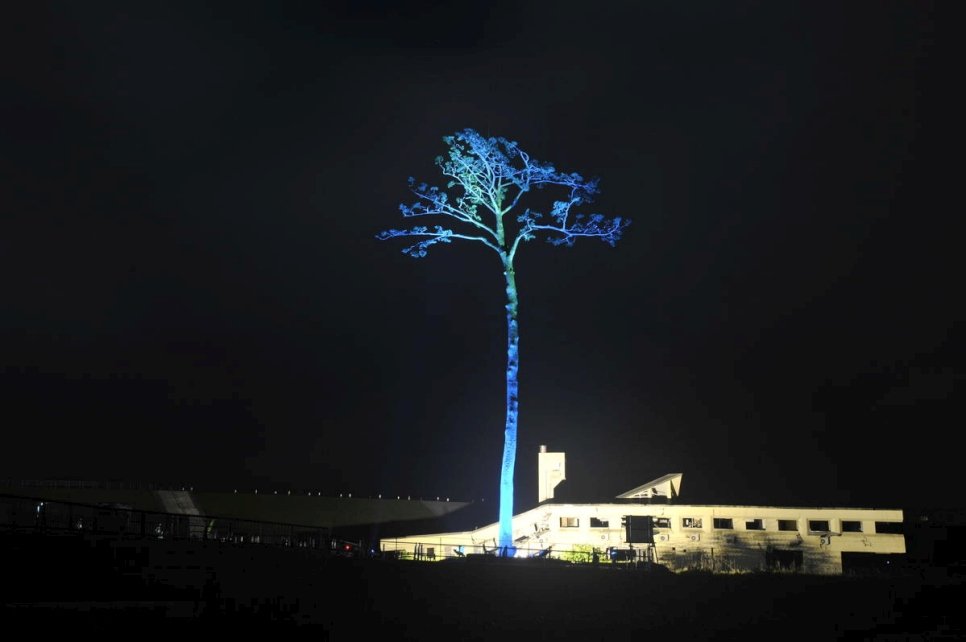 Japan. The Miracle Pine Tree of the City of Rikuzentakata turns to UN Blue, the night before the World Refugee Day
