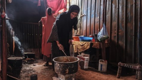 Ethiopia. Pesky weed provides energy and income for Somali refugees and hosts