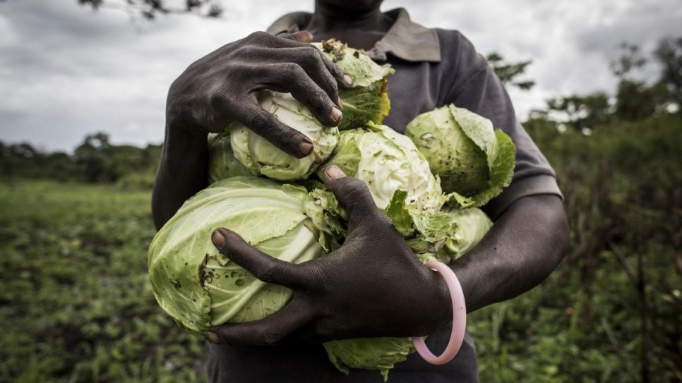 A South Sudanese farmer holds cabbages during a harvest morning at Biringi settlement.