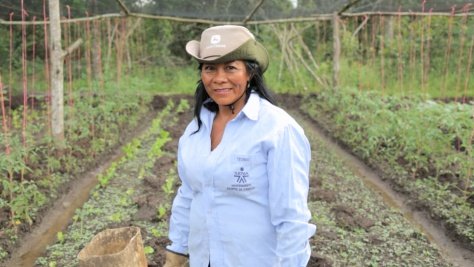Colombia ceasefire throws displaced lives into focus – Maria's story