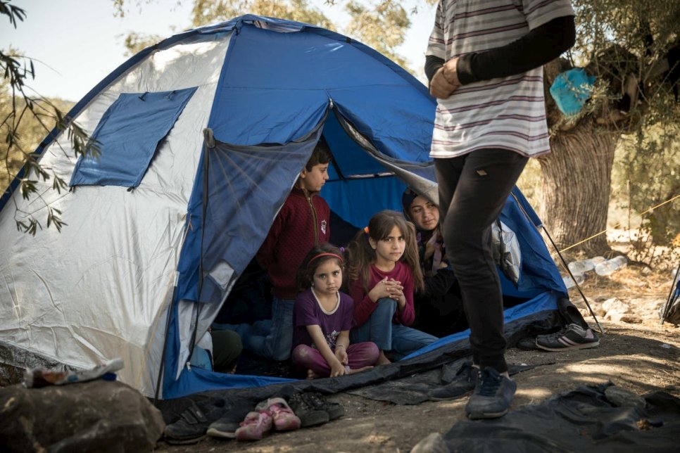Une famille syrienne, originaire d'Idlib et arrivée récemment sur l'île grecque de Lesvos, vit dans une oliveraie près du centre de réception de Moria.  