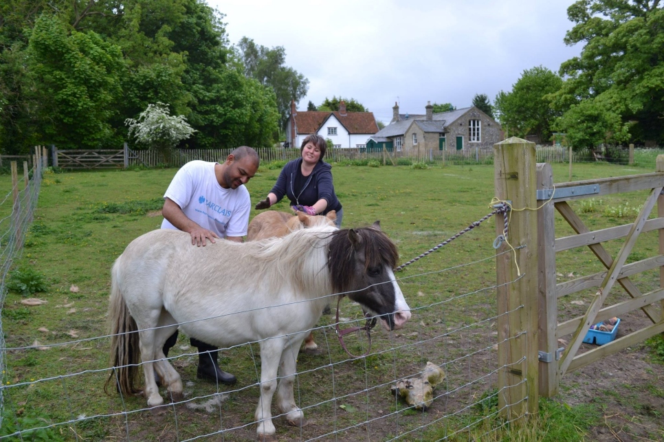 The Grange, grooming ponies