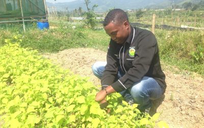 Refugee youth join Indonesians in planting seeds for a better future through organic farming