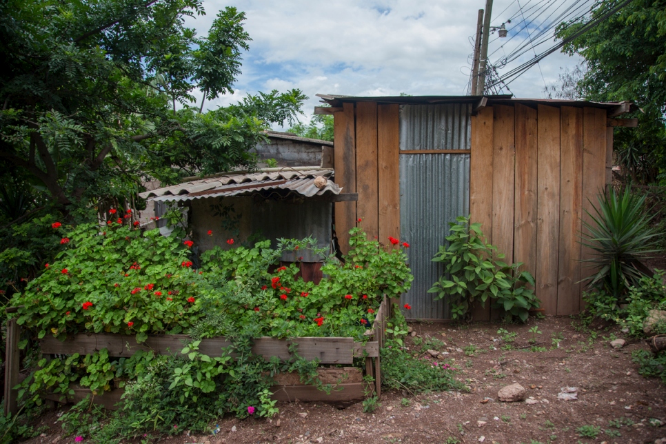 Honduras. In a capital city besieged by gangs, children's schooling suffers