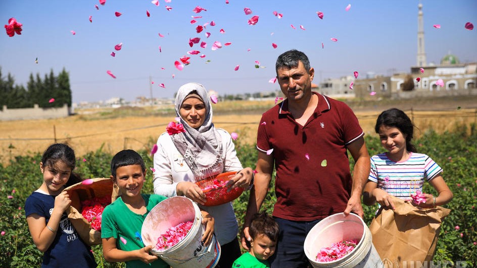 Syrische rozenkweker gebruikt zijn talenten om een nieuw leven te starten in Libanon