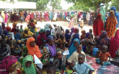 Terribles violences dans le nord du Nigéria : des milliers de personnes forcées de fuir au Niger