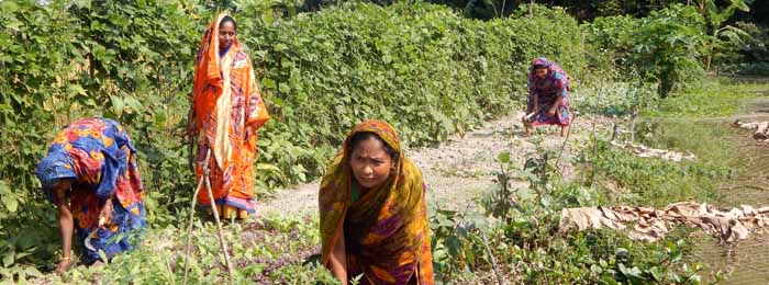 Field workers in agriculture