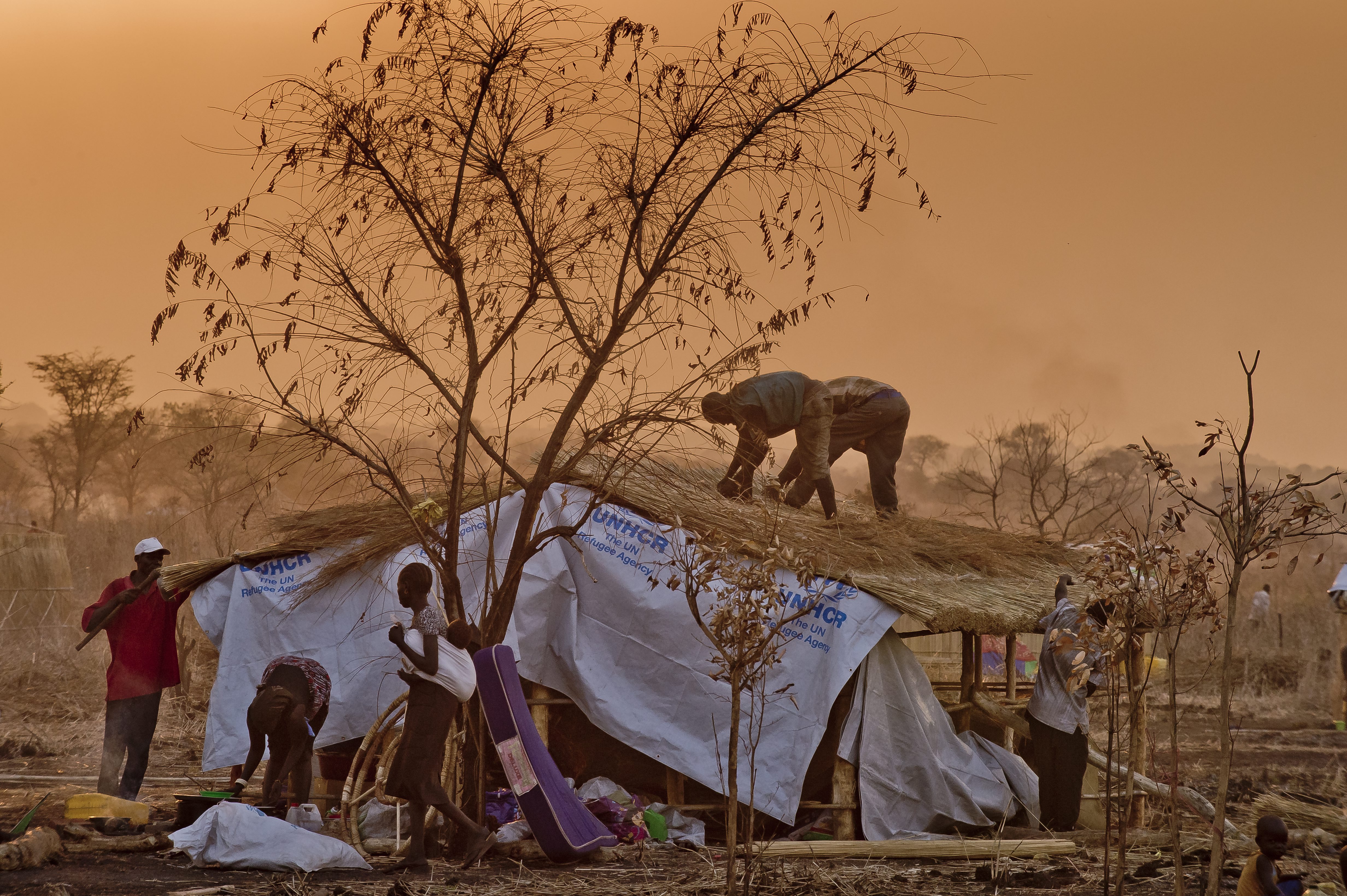 Shelter. Uganda/Nyumanzi settlement. January 2014