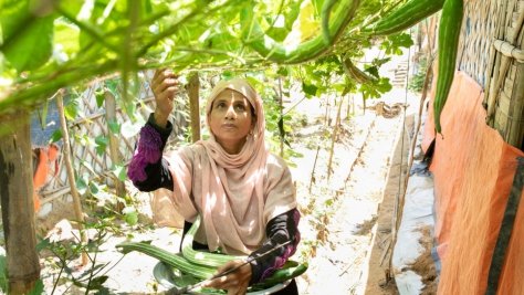 Bangladesh. Sahera plants a garden and harvests fresh vegetables in Kutupalong refugee settlement