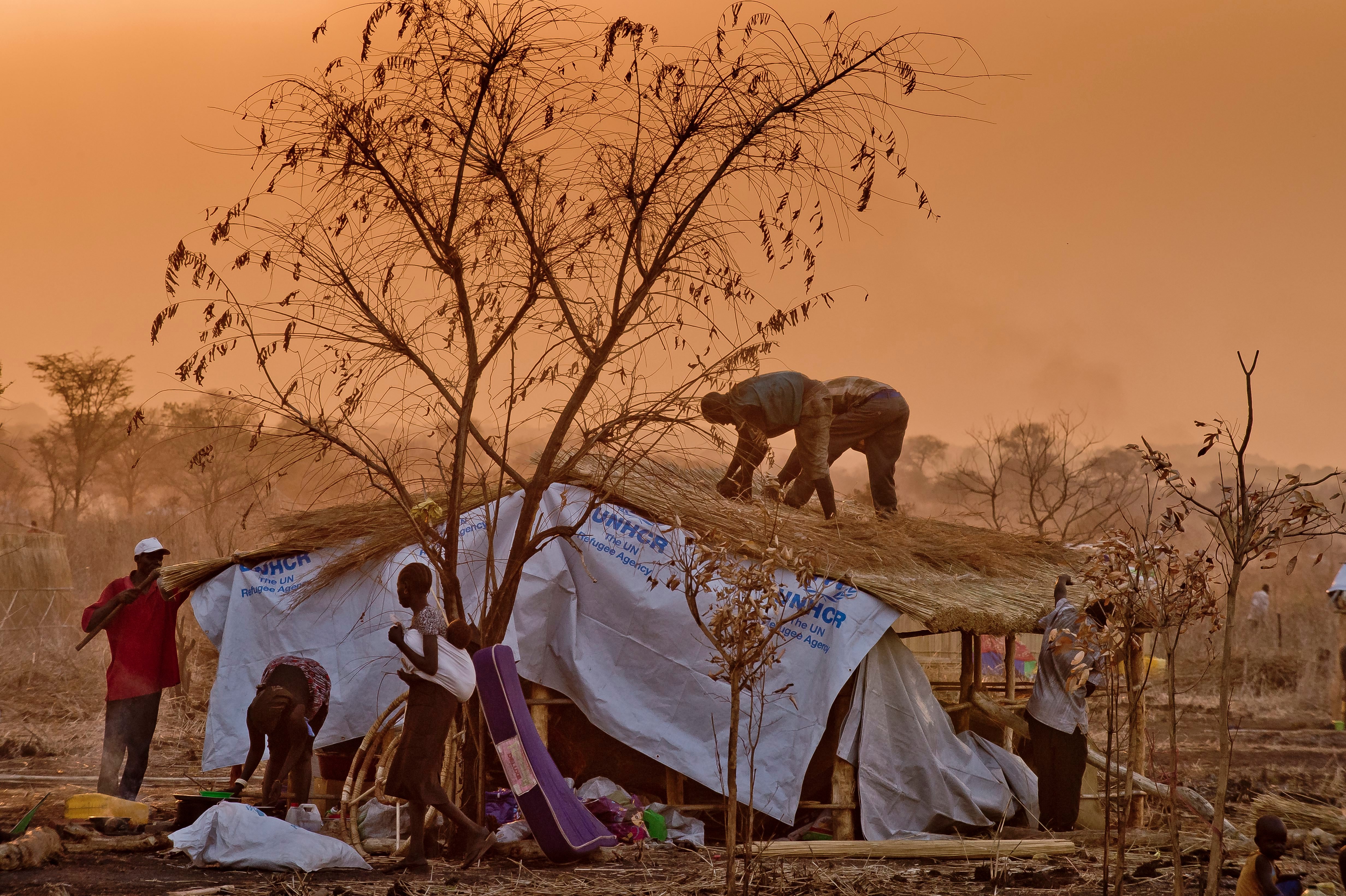 Shelter. Uganda/Nyumanzi settlement. January 2014