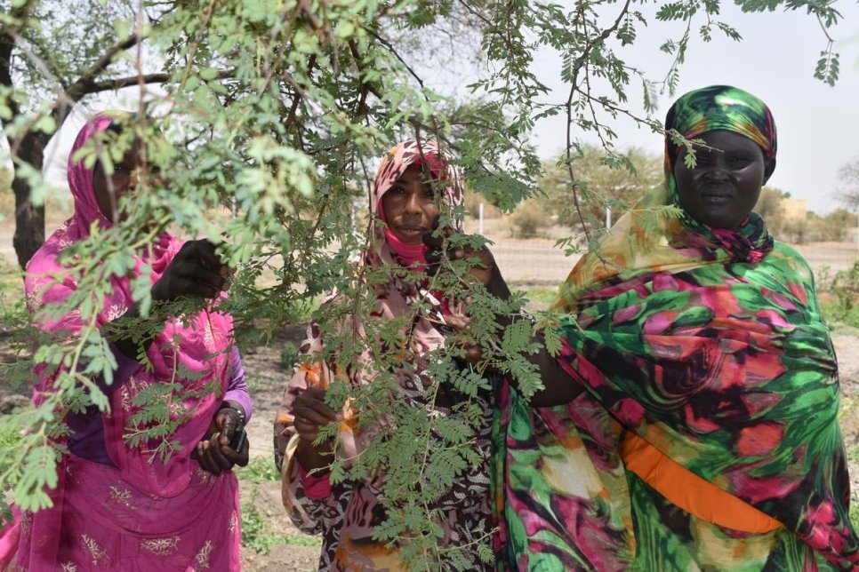 Geal (à droite) se tient aux côtés de femmes soudanaises avec lesquelles elle travaille à la pépinière. 