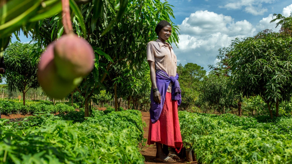 Wizeyimana Siwajibu, 34, tends to seedlings at Nduta's tree nursery.