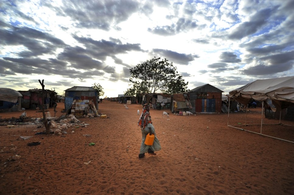 Anbaro Dirie Youssuf, 66, sits under the tree she planted when she arrived 7 years ago from Mudug region because of drought and fighting. 