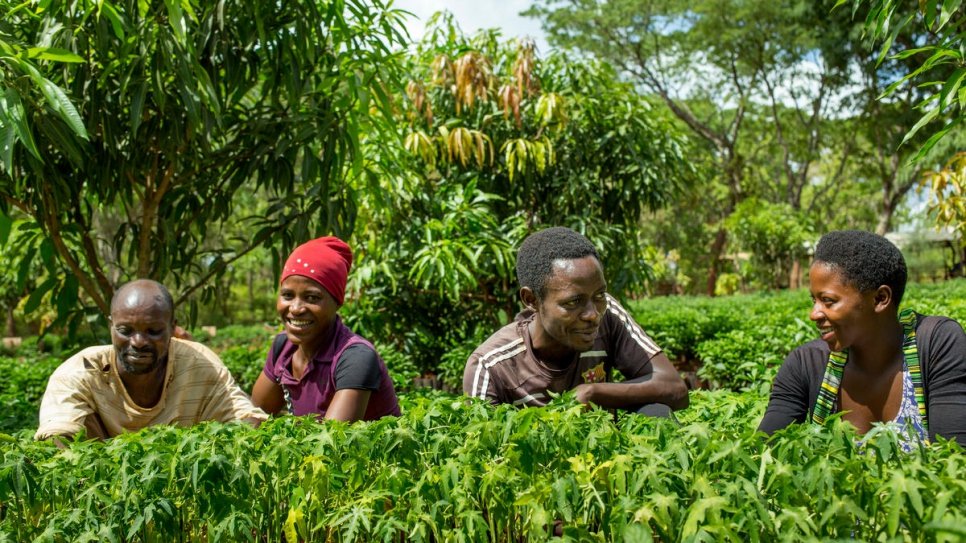 Burundi refugee workers at REDESO tree nursery in Nduta refugee camp.