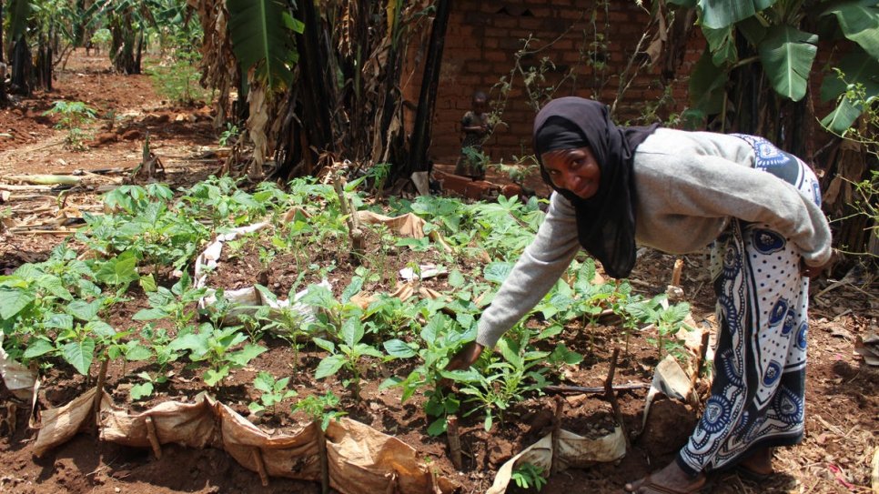 Une femme du camp de réfugiés de Kigoma, en Tanzanie, travaille sur un projet de production de légumes qui vise à diversifier son alimentation et à améliorer sa nutrition.