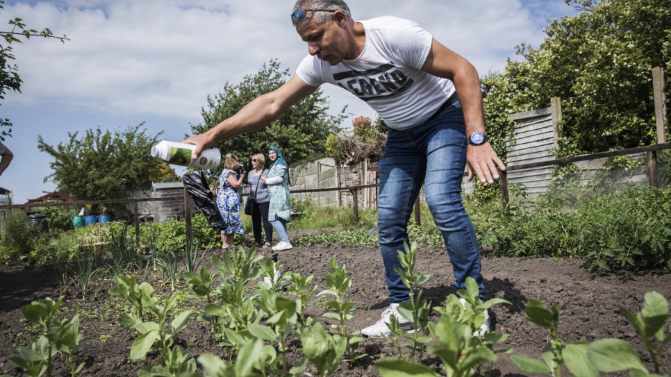 "I do not love slugs."

Ismael Khaled Jhayem sprinkles new seedlings with pellets after his entire crop of lettuces was devoured at the family's allotment, in Liverpool. Thingwall Allotments found a derelict plot that the family has already transformed into a thriving vegetable garden.