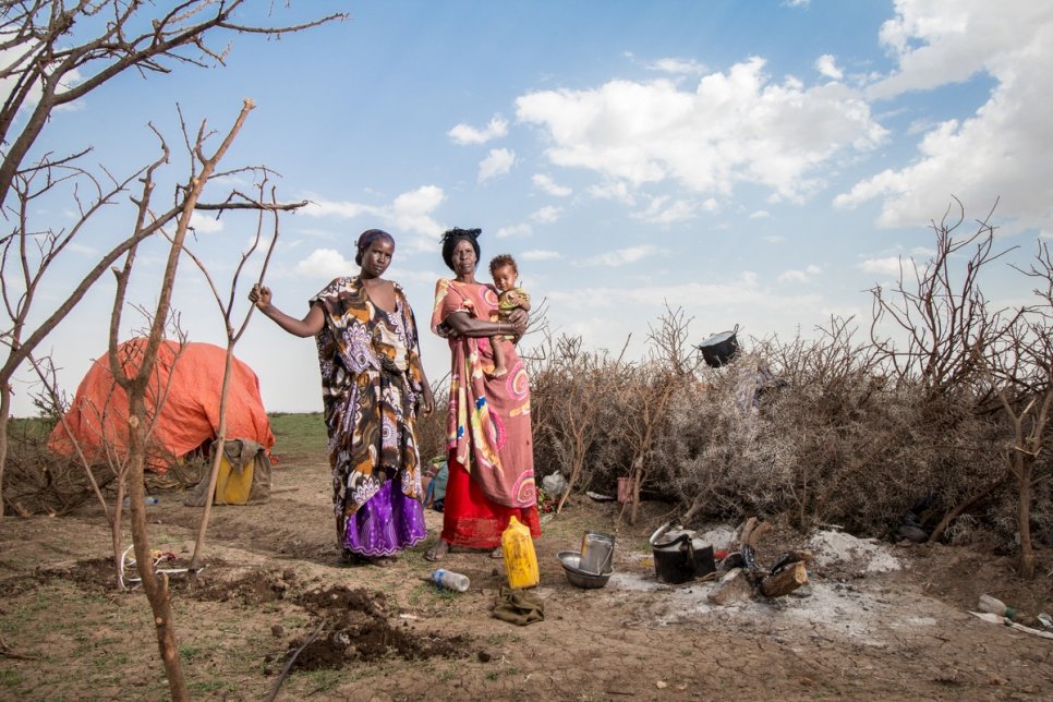 Une famille somalienne qui a perdu la plupart de son bétail à cause d'une grave sécheresse pose pour une photo à Wajaale, Somalie. Photo d'archives, juin 2017. 