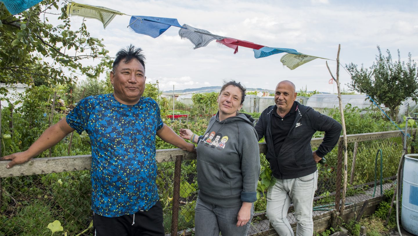 Switzerland. Integration of refugees through a gardening project