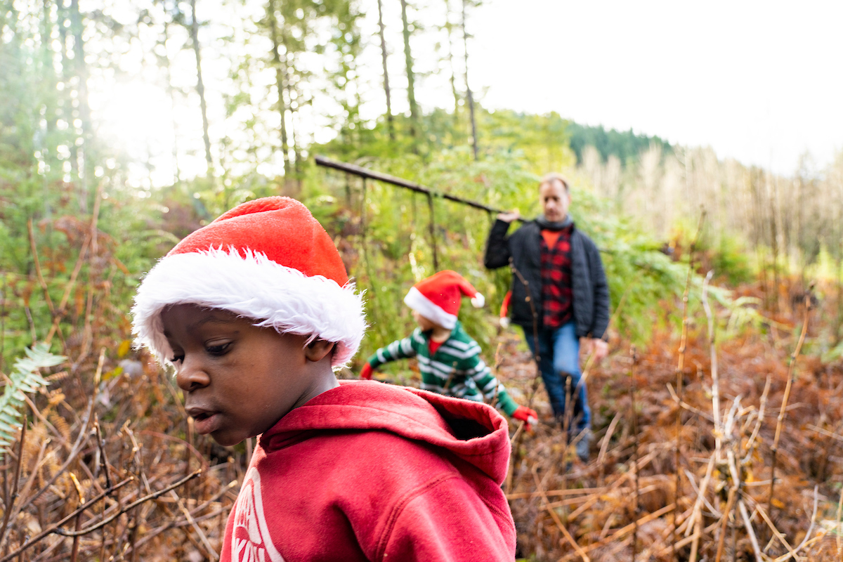 B.C. family cut down tree with refugee family4