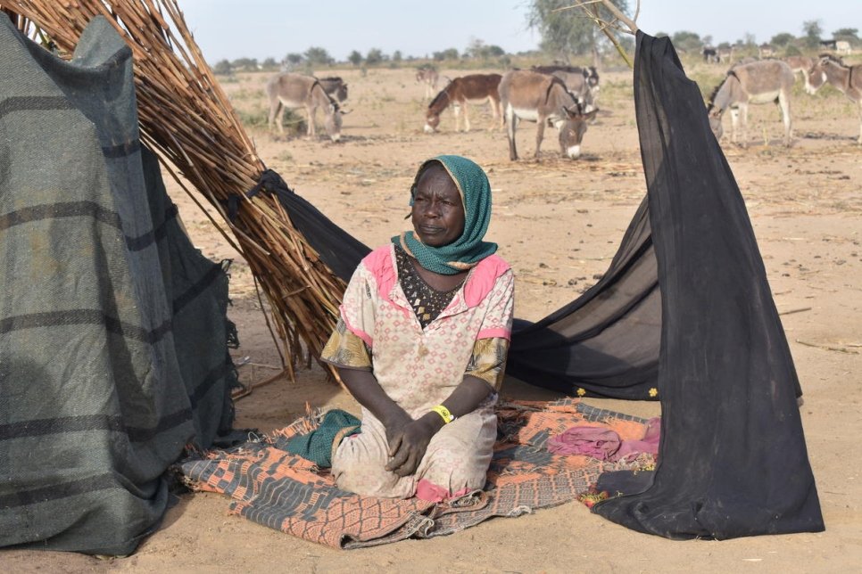 Chad. Violence in West Darfur forces thousands of Sudanese across border