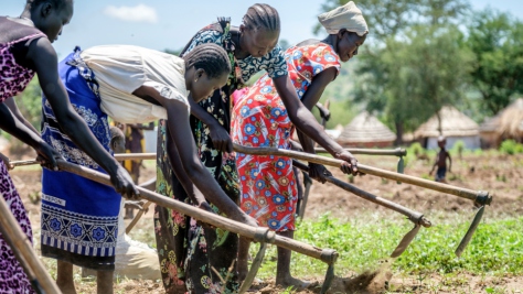 Uganda. South Sudanese Refugees