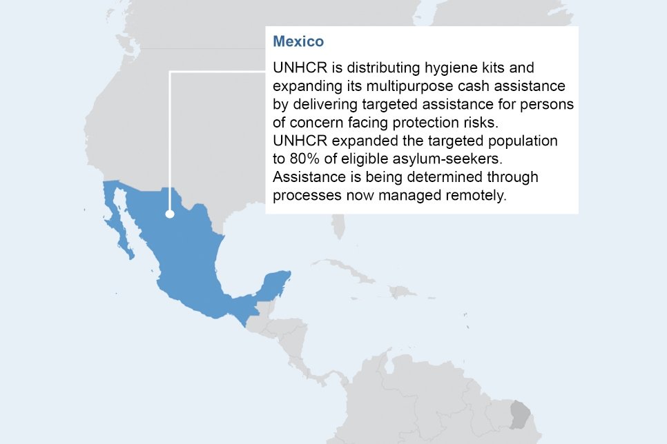 Highlights of our response to the coronavirus (COVID-19) pandemic (May 2020) © UNHCR