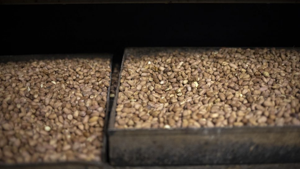 Trays of roasted peanuts on display at Congolese refugee Grace's business in Pretoria, South Africa.