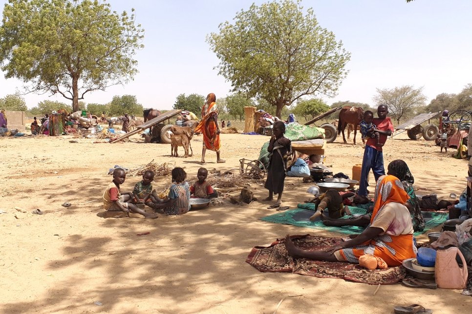 Des réfugiés ayant fui les récentes violences dans la région du Darfour au Soudan sont assis à l'ombre sous des arbres, près de la ville d'Adré au Tchad. 