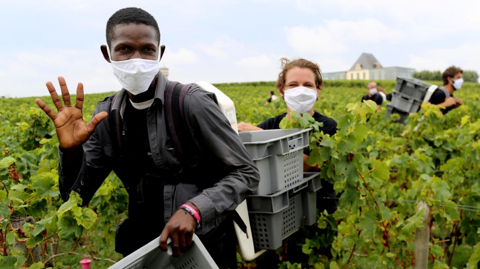 Hamed de Sudán, es parte del equipo de personas refugiadas que trabaja en los viñedos del Château de Pedesclaux en la zona de Pauillac de Burdeos.