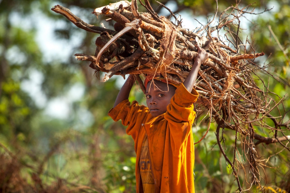 Un enfant réfugié burundais collecte du bois de chauffage pour les repas, au camp de réfugiés de Nyarugusu, dans l'ouest de la Tanzanie.