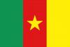 Cameroon flag