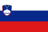 Slovenian flag